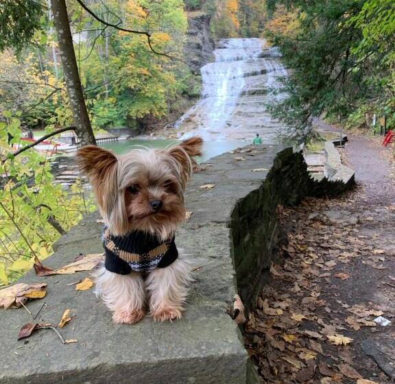 فندق Country Inn & Suites By Radisson, Ithaca, Ny