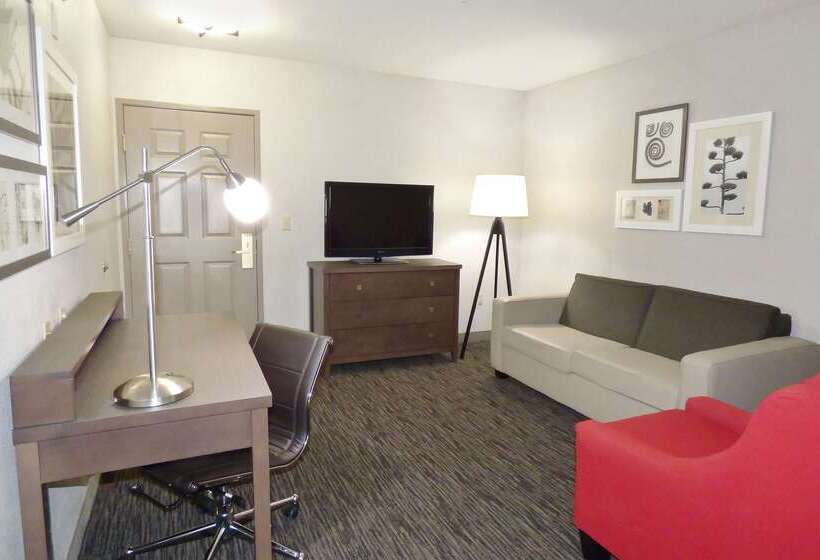 فندق Country Inn & Suites By Radisson, Tampa Brandon, Fl