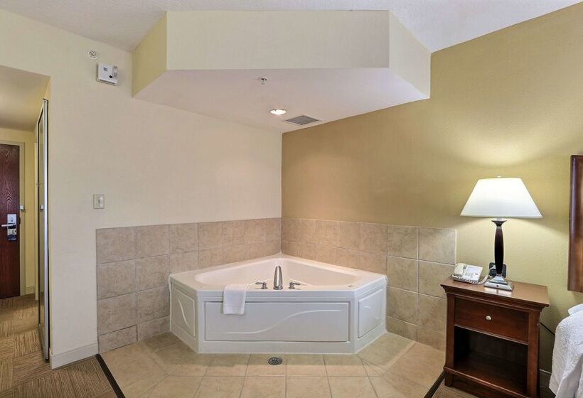 هتل Hampton Inn & Suites Savannah   I 95 South   Gateway