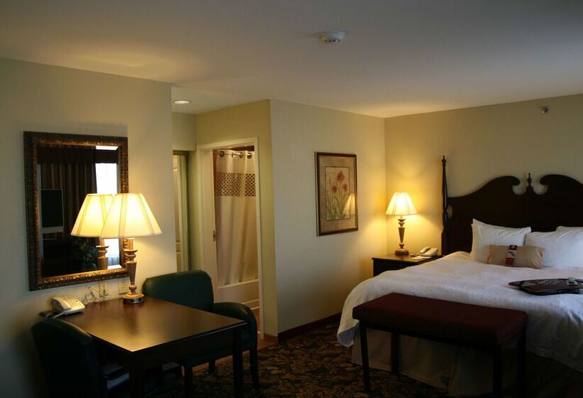 هتل Hampton Inn & Suites Del Rio, Tx
