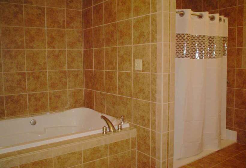 هتل Hampton Inn & Suites Del Rio, Tx