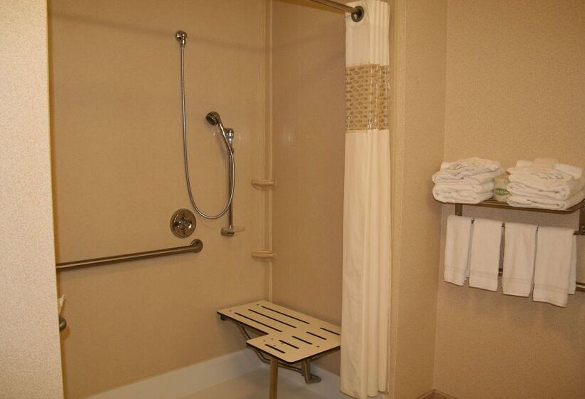 בית מלון כפרי Hampton Inn & Suites Sacramentoelk Grove Laguna I5