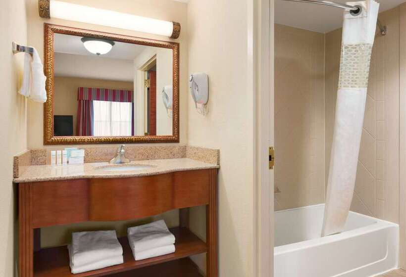 هتل Hampton Inn & Suites Williamsburg Historic District