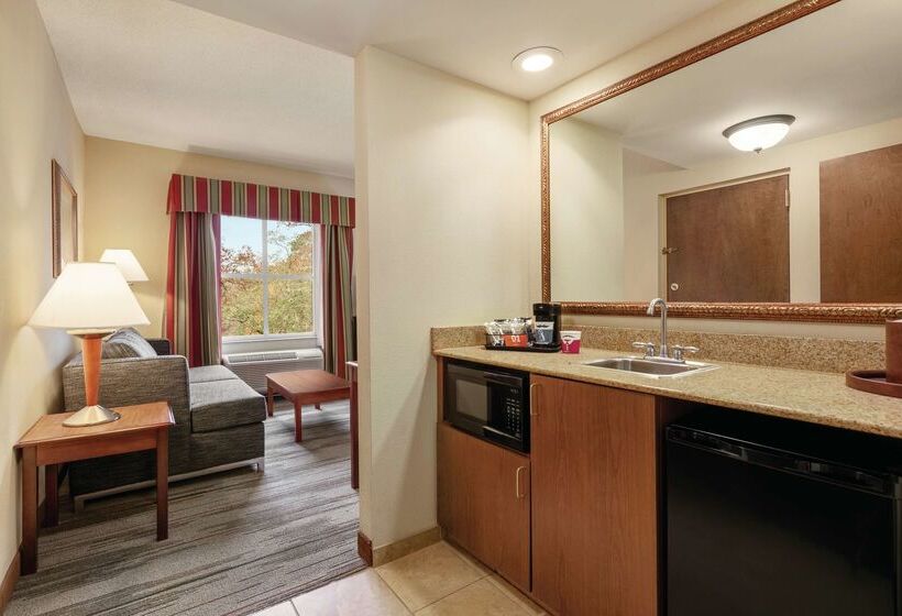 هتل Hampton Inn & Suites Williamsburg Historic District