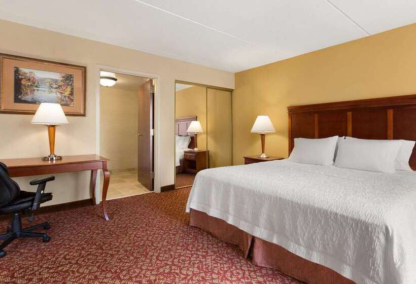 هتل Hampton Inn & Suites Williamsburg Historic District