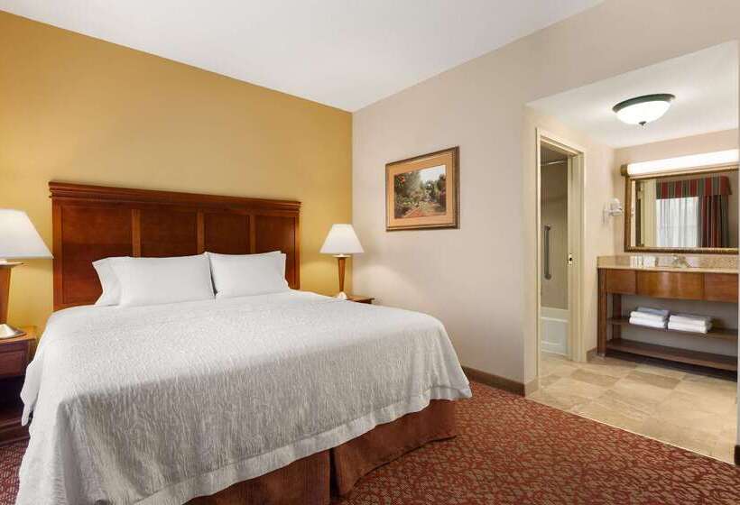 هتل Hampton Inn & Suites Williamsburg Historic District