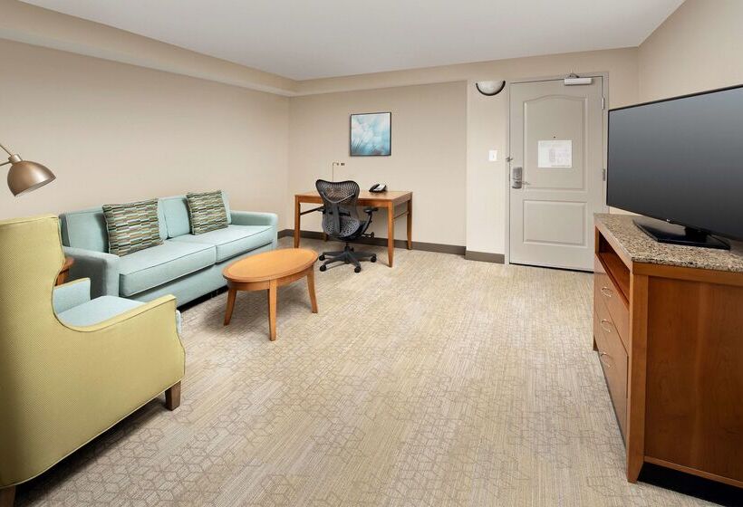 هتل Hilton Garden Inn Atlanta West/lithia Springs