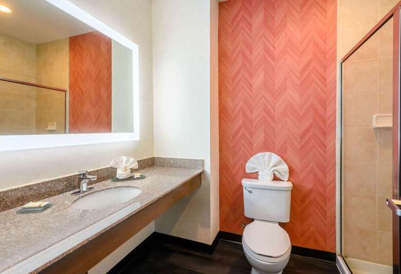 בית מלון כפרי La Quinta Inn & Suites By Wyndham Longview North