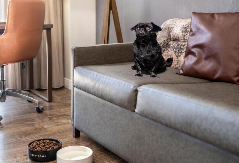 호텔 Residence Inn Austin Downtown/convention Center