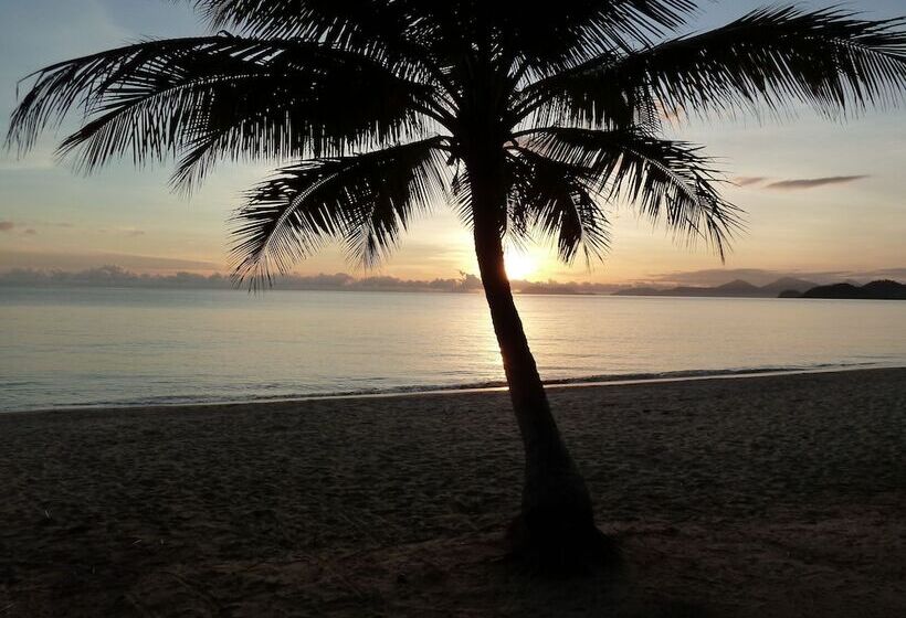 Palm Cove Tropic Apartments