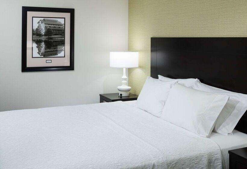 Hampton Inn & Suites Gainesvilledowntown