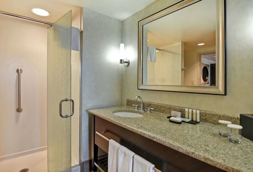 هتل Embassy Suites By Hilton Savannah Airport