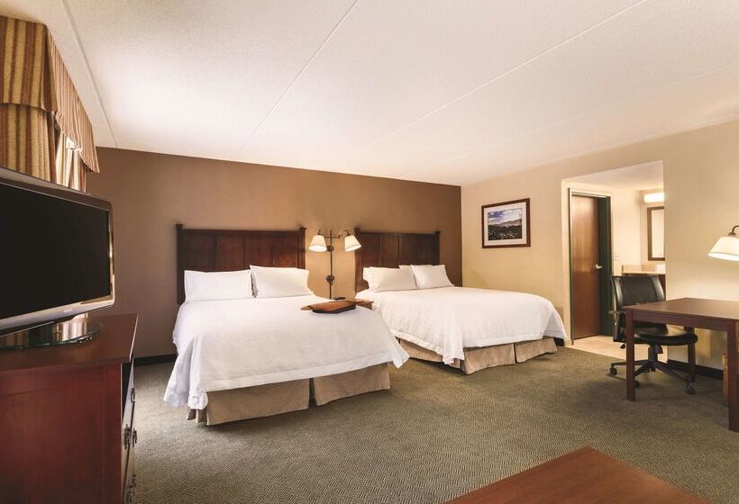 هتل Hampton Inn & Suites Lake George