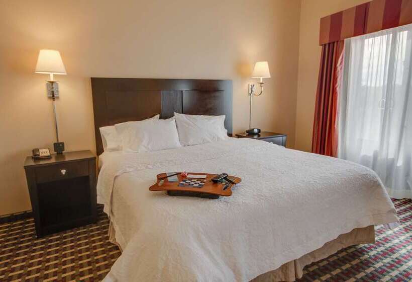 هتل Hampton Inn & Suites Las Cruces I 25