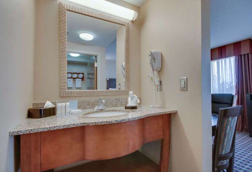 هتل Hampton Inn & Suites Las Cruces I 25