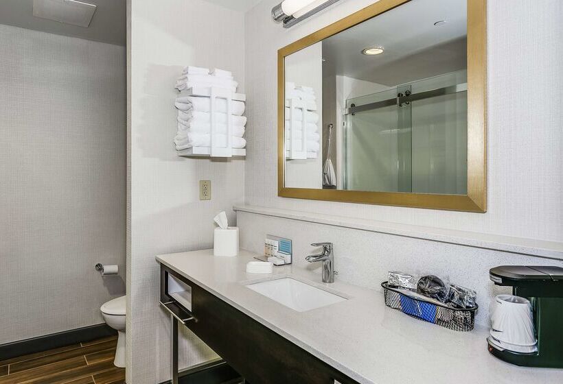 هتل Hampton Inn & Suites Mobile  Downtown Historic District