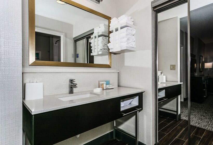 هتل Hampton Inn & Suites Mobile  Downtown Historic District