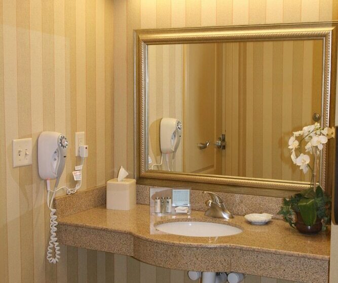 酒店 Hampton Inn & Suites Chicago/st. Charles