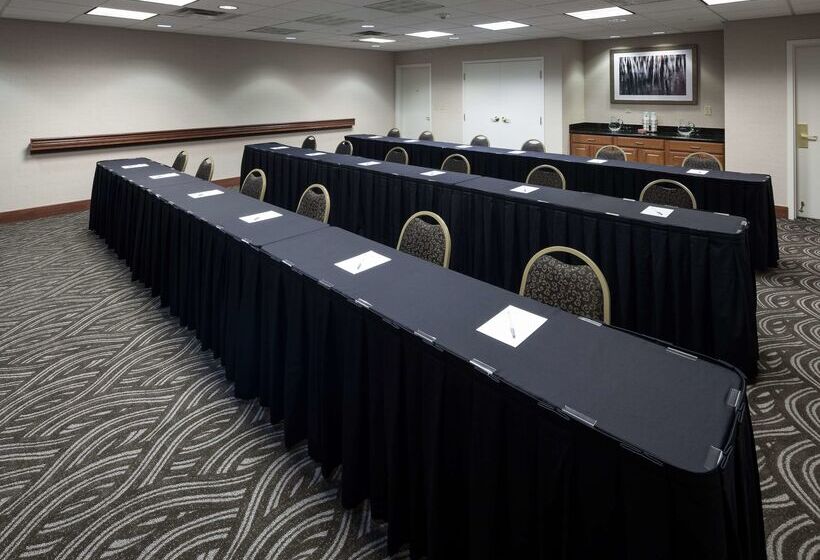 هتل Hampton Inn & Suites Davenport