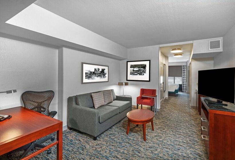 בית מלון כפרי Hilton Garden Inn Houston/sugar Land