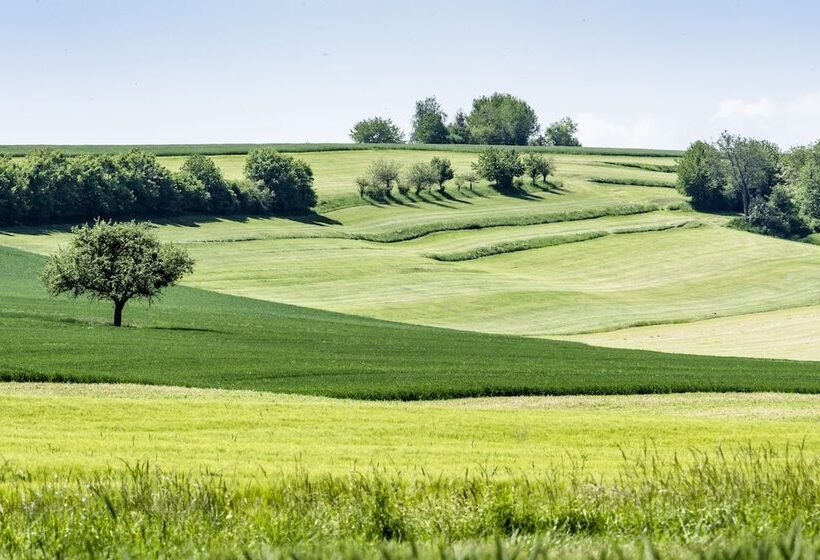 ホテル Kloster Hornbach