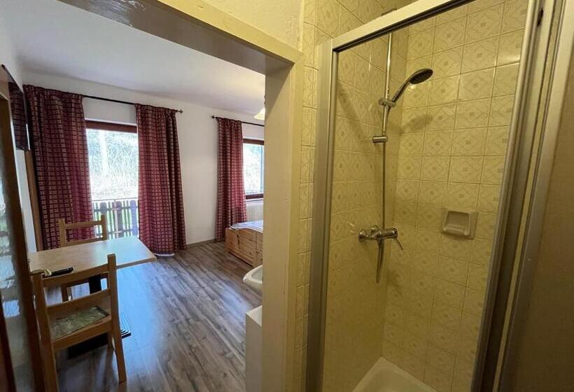 هتل Pension & Apartments Waldkrieber