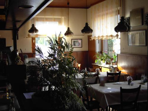 호텔 Restaurant Zur Schönbach