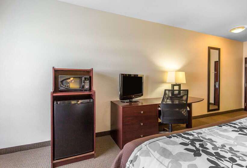 هتل Sleep Inn & Suites Bush Intercontinental  Iah East