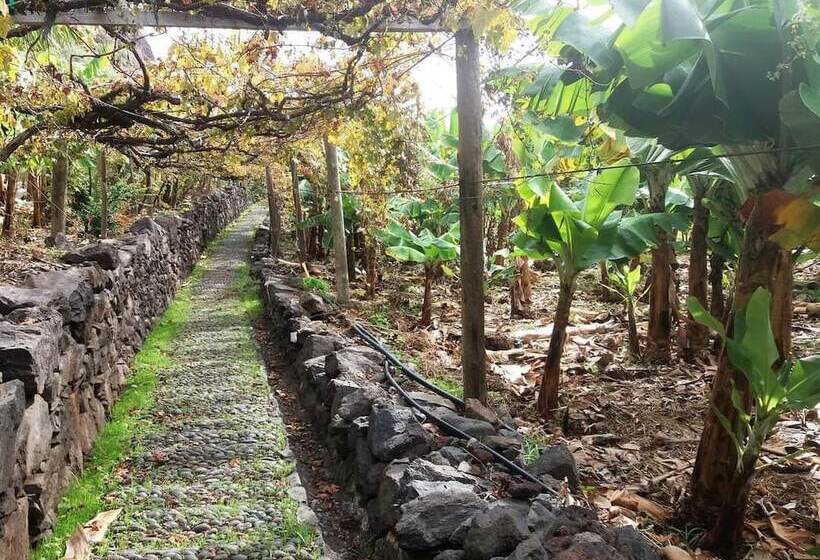 Fajã Dos Padres