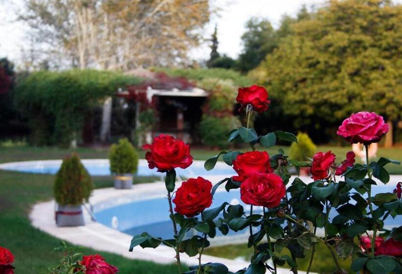 فندق Hostal El 402