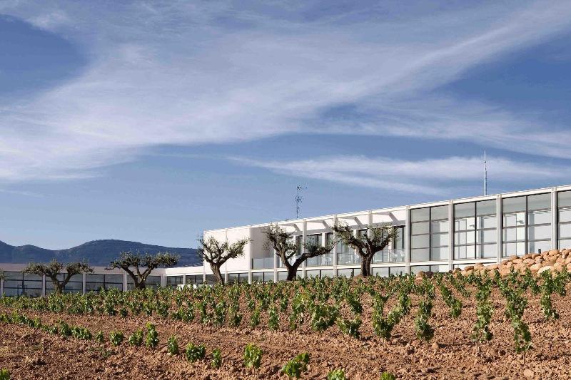 Отель Bodega Finca De Los Arandinos