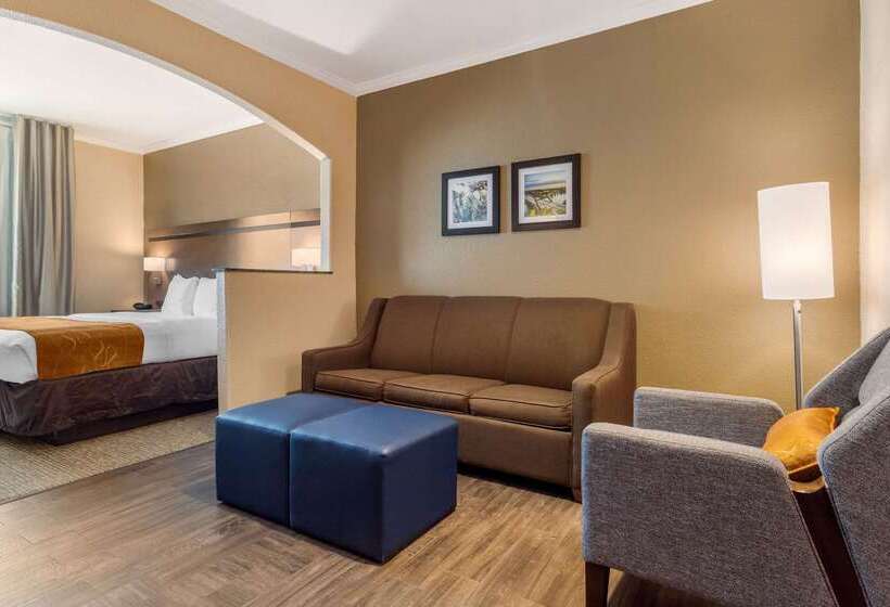 בית מלון כפרי Comfort Suites Baytown I   10