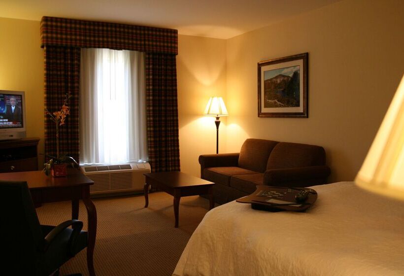 ホテル Hampton Inn And Suites Dobson