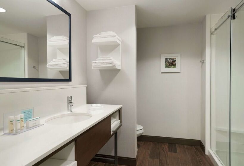 ホテル Hampton Inn & Suites Ephrata   Mountain Springs
