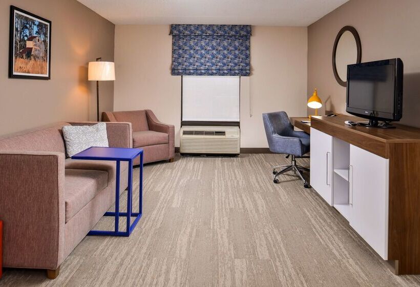 בית מלון כפרי Hampton Inn Emporia