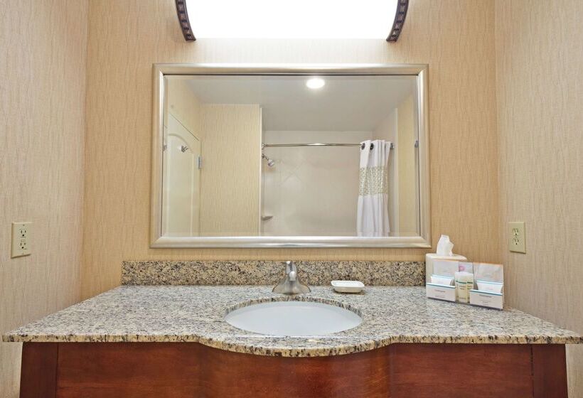酒店 Hampton Inn By Hilton Gainesville Haymarket