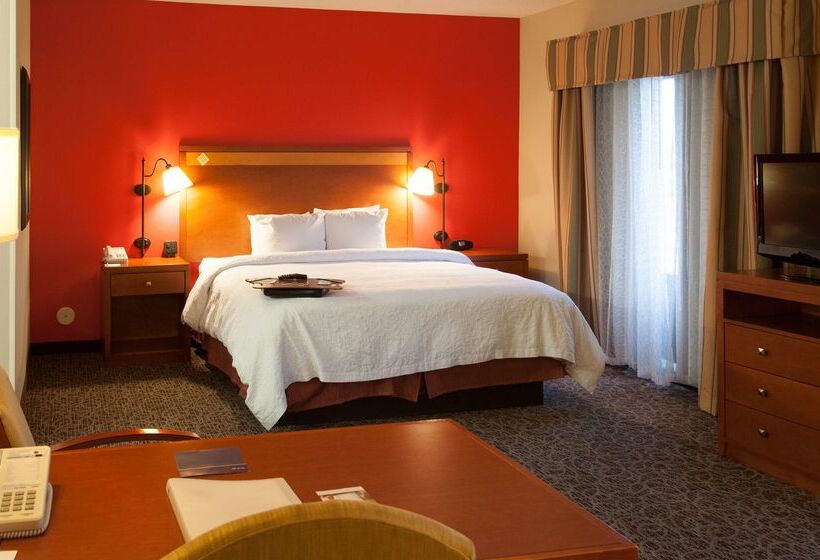 ホテル Hampton Inn Montgomery South Airport