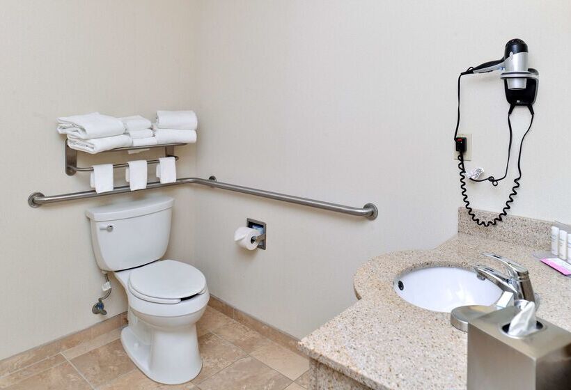 هتل Hampton Inn & Suites Daytonvandalia