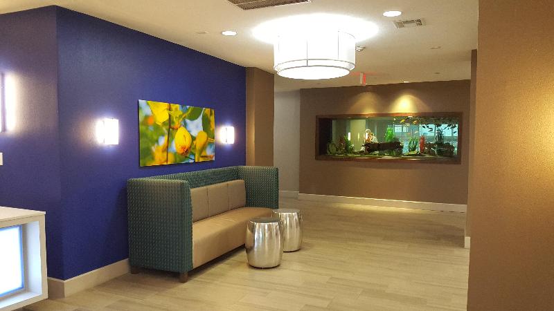 هتل Holiday Inn Express Pearland, An Ihg