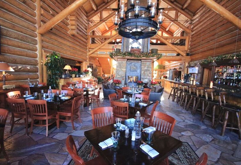 هتل Telluride Mountain Lodge Skiin Out Amazinglocation
