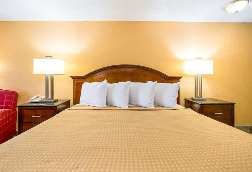 هتل Rodeway Inn Metro Airport