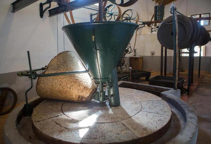 فندق ريفى Finca Can Beneit
