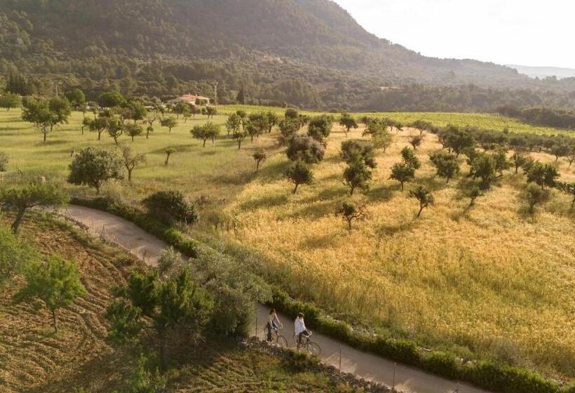 فندق ريفى Finca Can Beneit