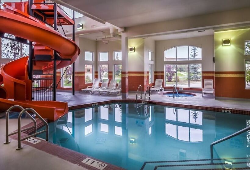 ホテル Service Plus Inns And Suites Calgary