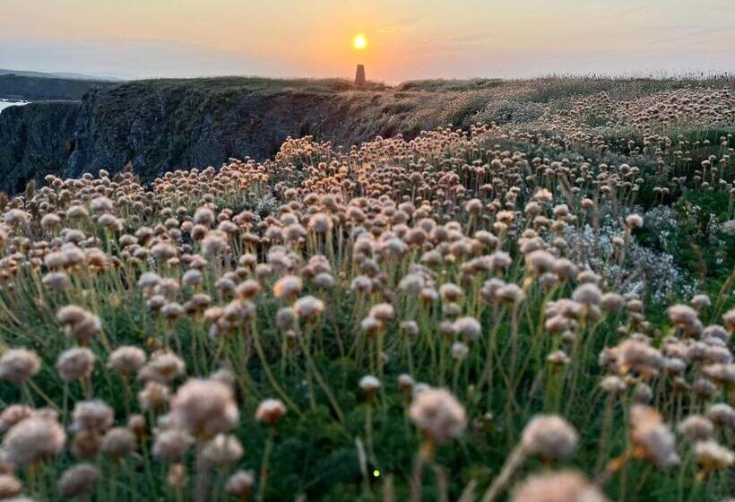 مبيت وإفطار Thistledown Lodge
