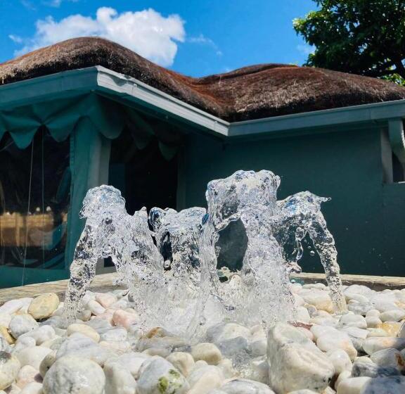 بنسيون President Guest Lodge