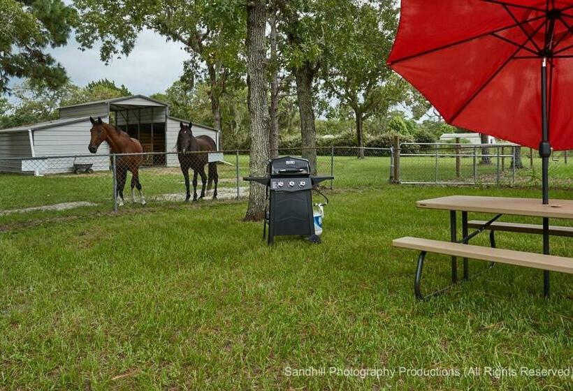 بنسيون Room In Apartment   Pleasant Days Bb Manatee Room