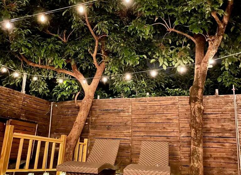 تختخواب و صبحانه 弎trinity