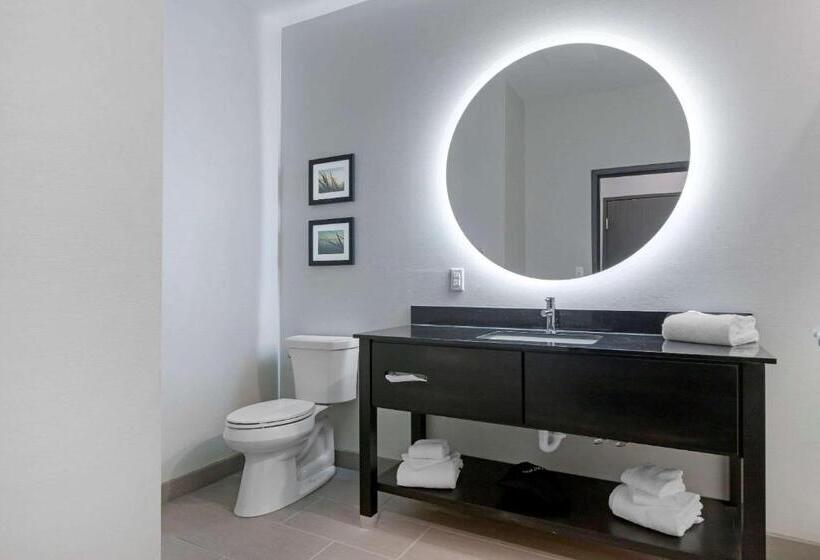 فندق Comfort Inn & Suites Adrian