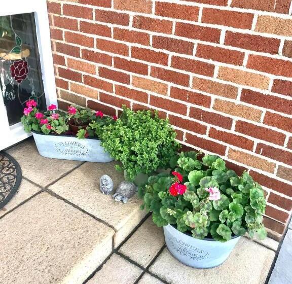 بنسيون Fox View Guesthouse